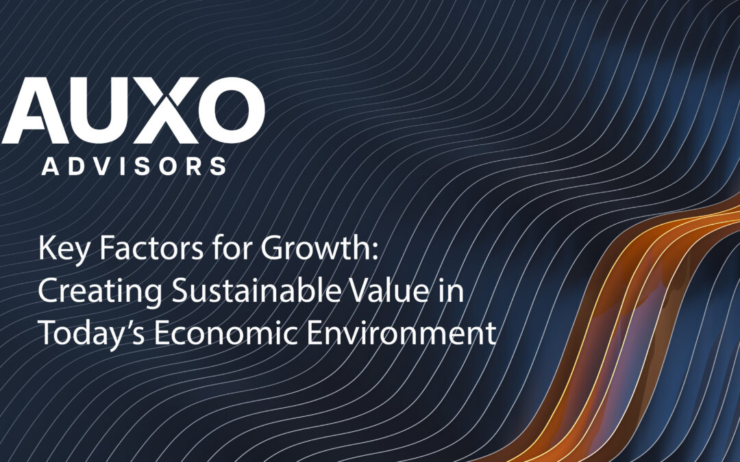 Key Factors for Growth: Creating Sustainable Value in Today’s Economic Environment